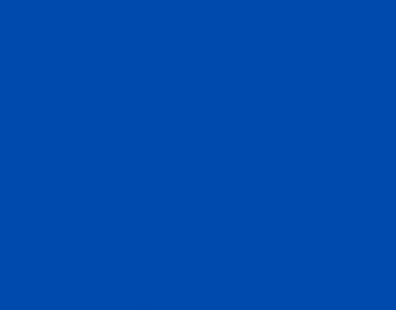 computerbees web design